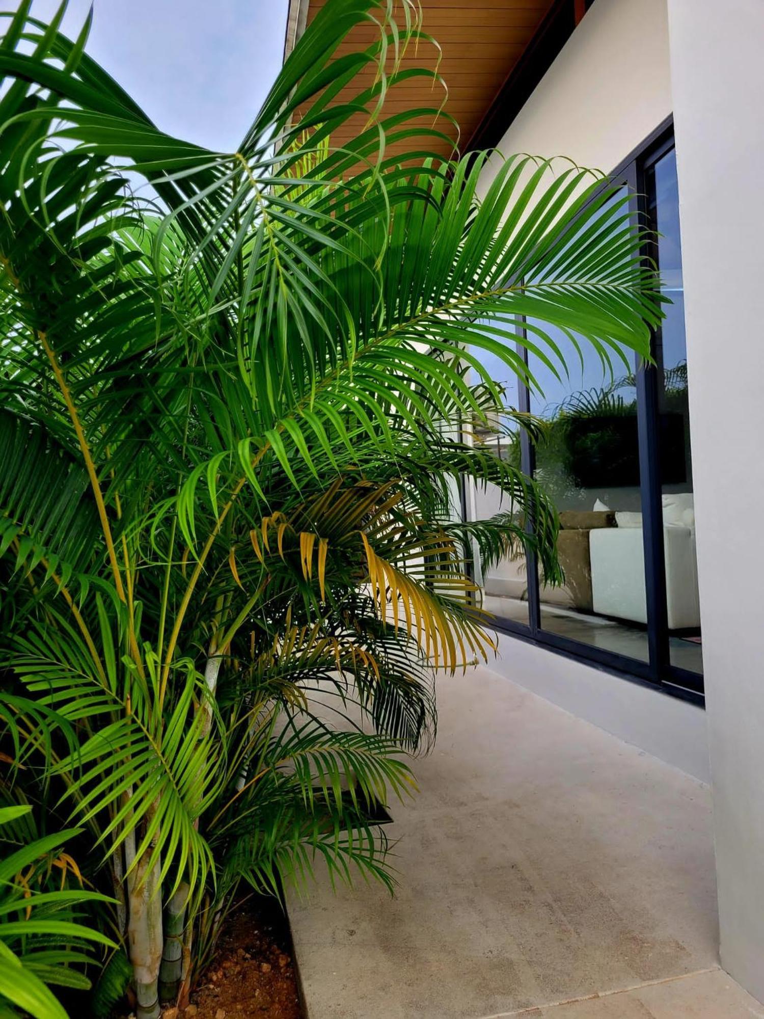 Villa Wanny - 3br Modern Bophut - Bangrak